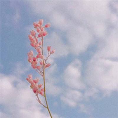 幻灵修仙传红包版手游下载