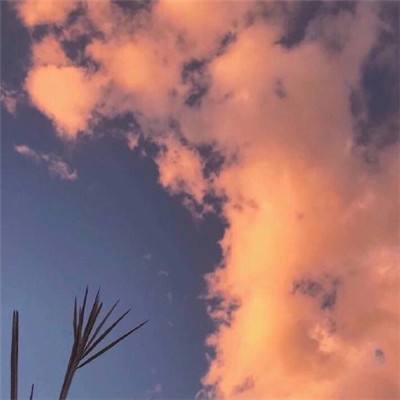 一剑幻仙手游(暂未上线)v1.1 安卓版