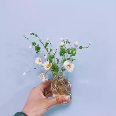进击的少女百度官方下载